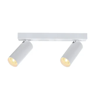 Linear 2 Light Spotlight